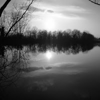 Riflessi sul laghetto di 