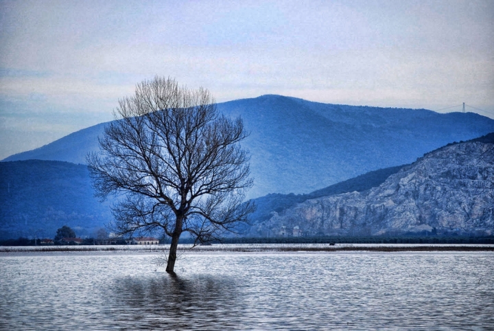 Esondazione di Zerosedici