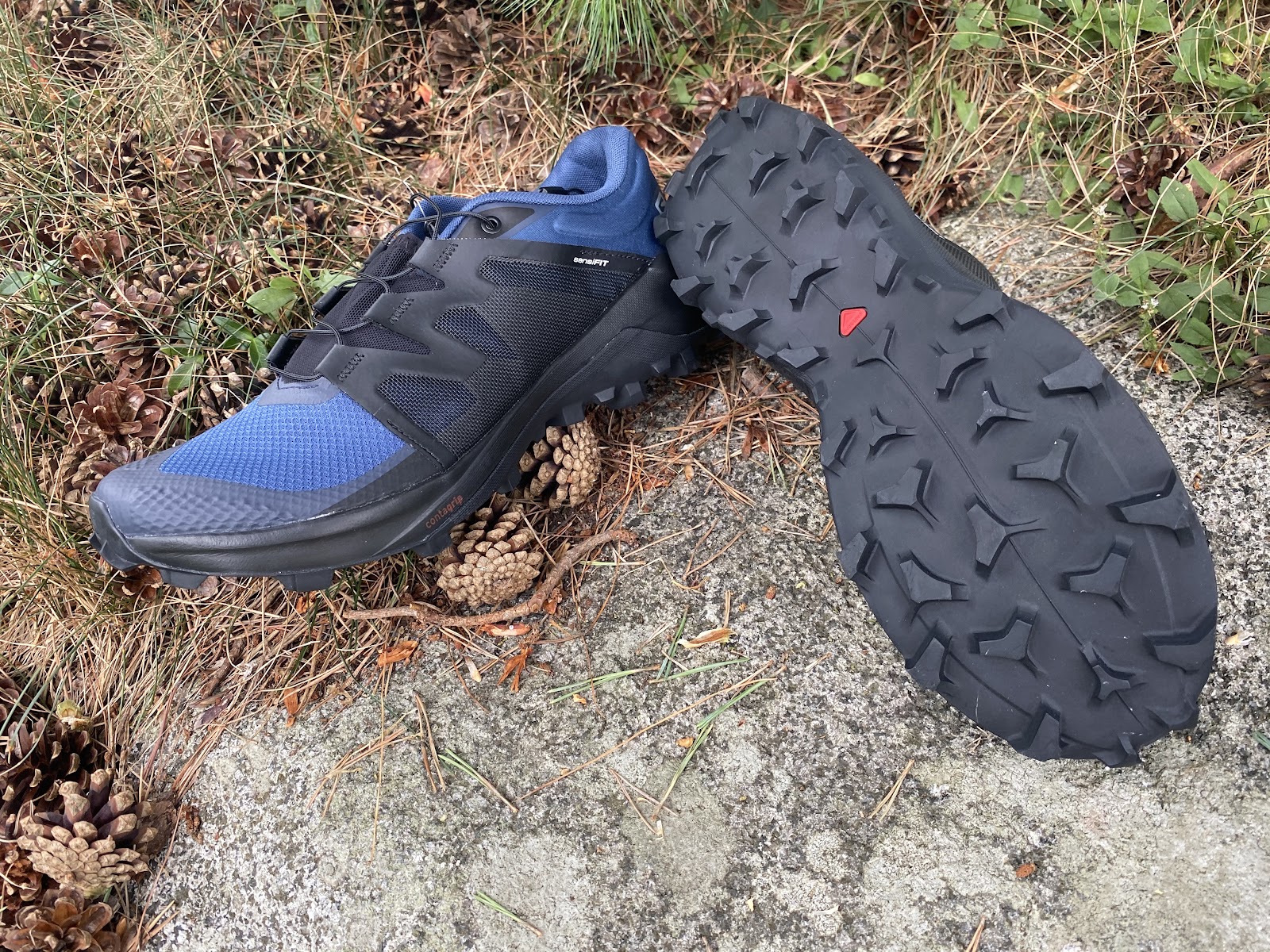 Road Trail Run: Salomon Wildcross Review