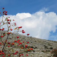 L’estate sta finendo di 