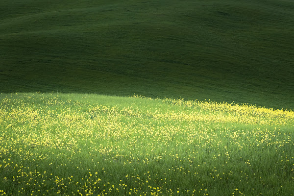 Primavera in Toscana di VIC61