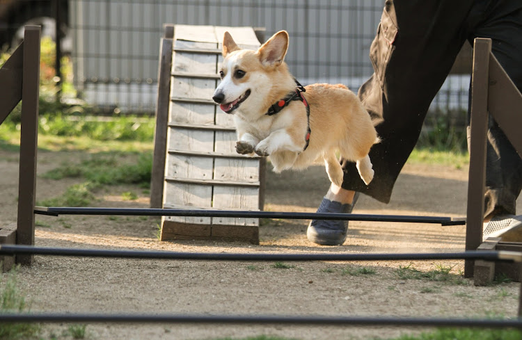 の投稿画像4枚目