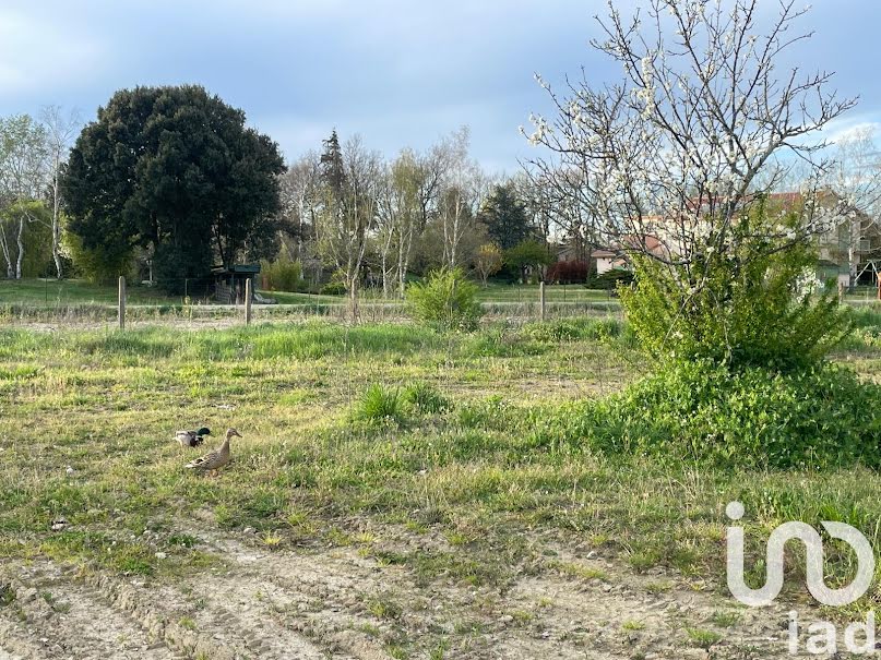 Vente terrain  702 m² à Muret (31600), 148 800 €