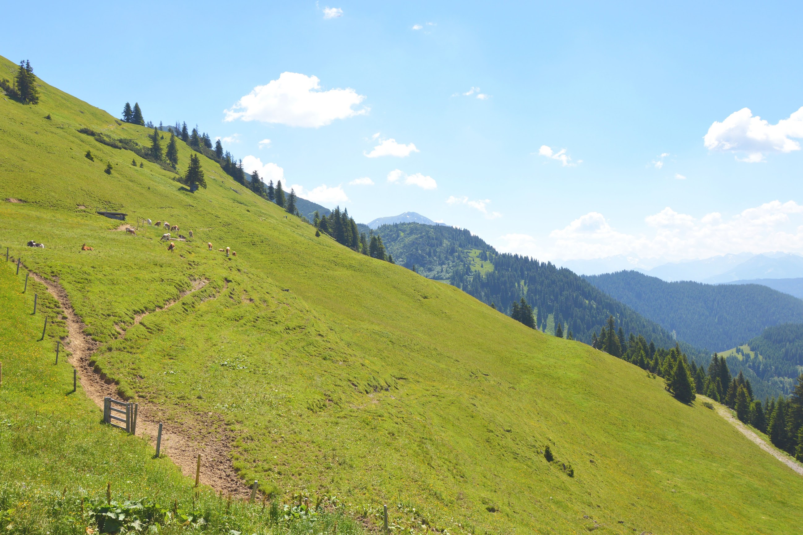 vakantie-salzburgerland