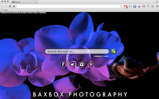 Baxbox Photography