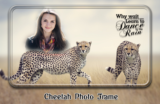 Cheetah Photo Frames