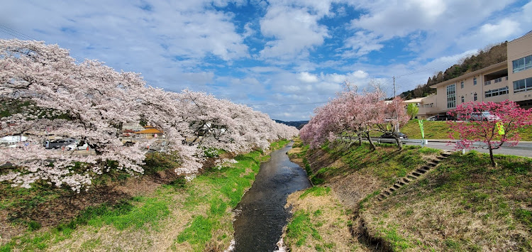 スカイラインの4月もよろしくお願い致します🌸・桜とコラボ・サクラと愛車・桜に関するカスタム事例の投稿画像16枚目