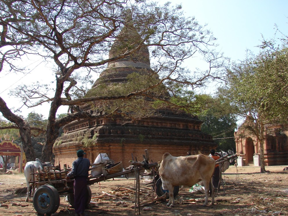 bagan