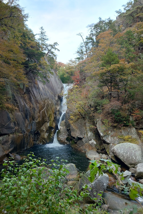 の投稿画像2枚目