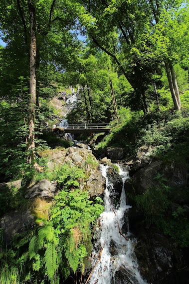 Todtnau, lago Feldsee y lago Titisee - DOMINGO 9 DE JULIO, - 15 días por la Selva Negra y la Alsacia Francesa (13)