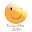Funny Quotes & Funny Jokes Download on Windows