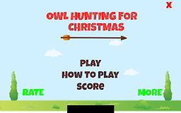 Owl Hunting for Christmas