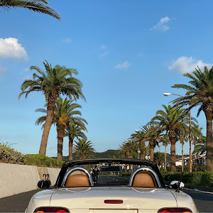 ロードスター NA8C