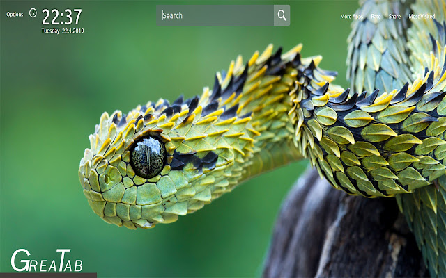 Snakes Wallpapers New Tab|GreaTab