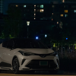 C-HR NGX10