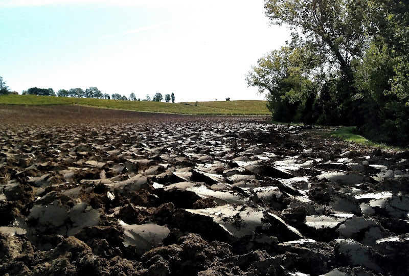 Autumn/Winter... Work in progress di field