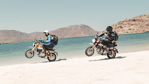 1,000 Miles in Baja on Honda Monkeys thumbnail