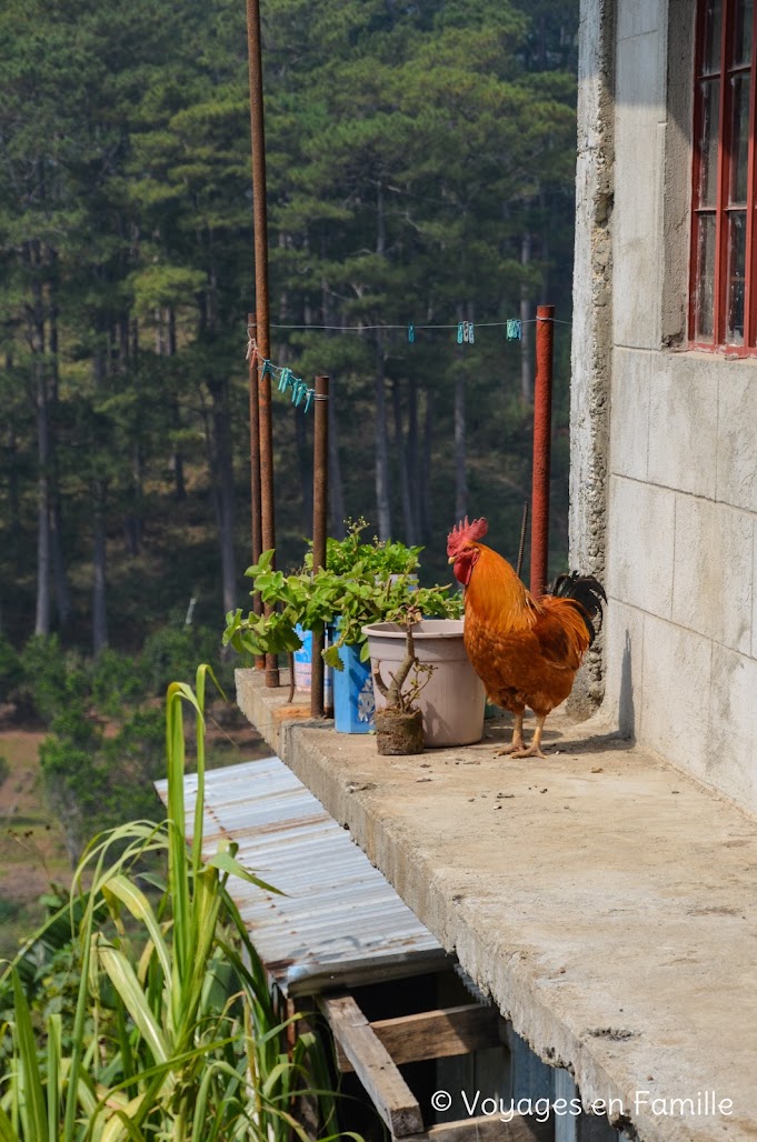 Sagada