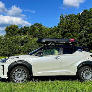 C-HR ZYX11