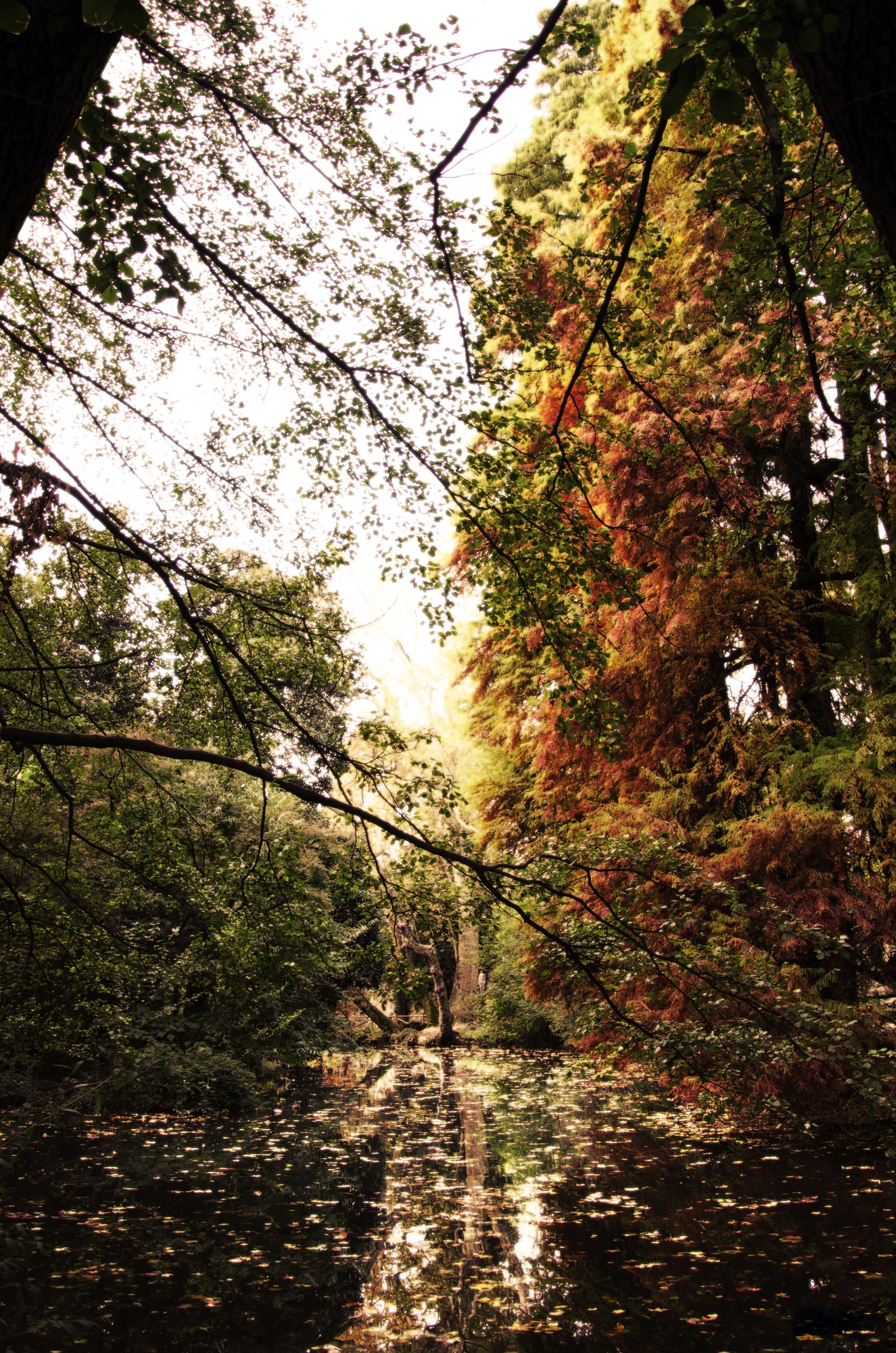 Lo specchio dell'autunno di andrearigatoph