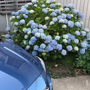 インプレッサ スポーツ GT7