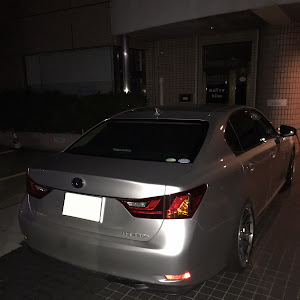 GS GWL10