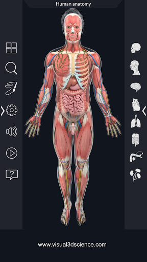 Screenshot Human Anatomy