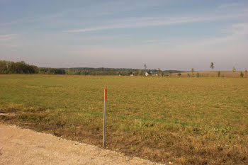 terrain à La Selle-sur-le-Bied (45)