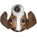 FrankerFaceZ Nightly