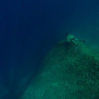 Fissando il grande blu di 