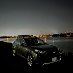 RAV4 MXAA54