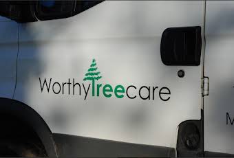 Worthy Treecare  album cover