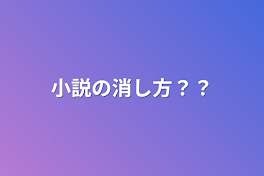 小説の消し方？？