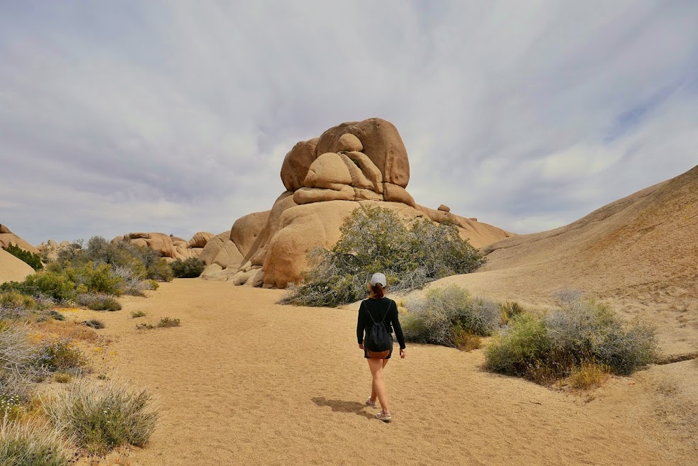 Lunes 15 de abril: Joshua Tree National Park - California combo: Los Angeles, Joshua Tree y Disneyland (8)