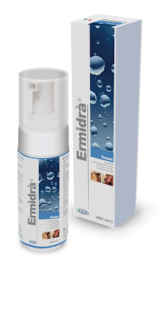 Ermidr Foam, 200ml, 1st flaska