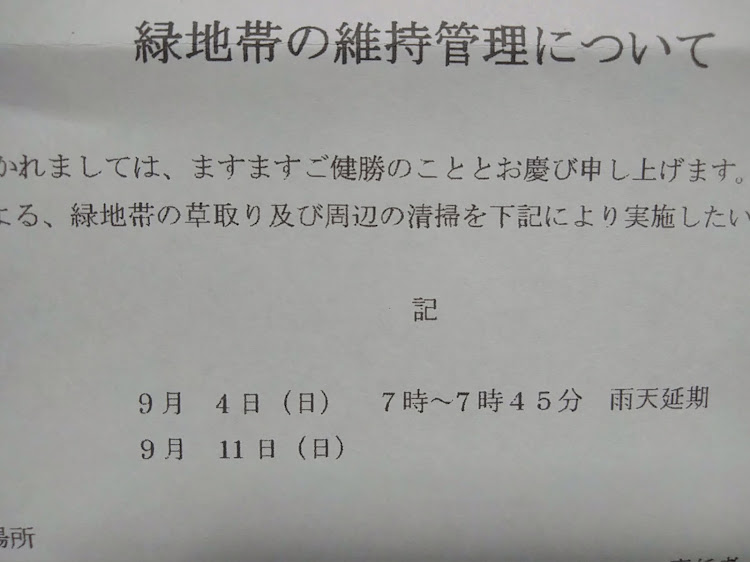 の投稿画像6枚目