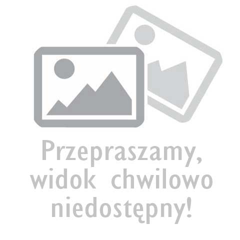 Świstak - Rzut piwnicy