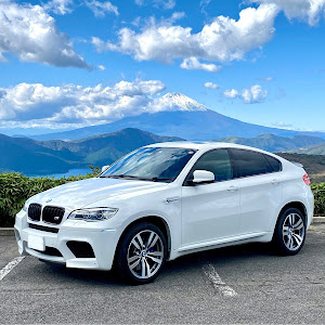 X6 M