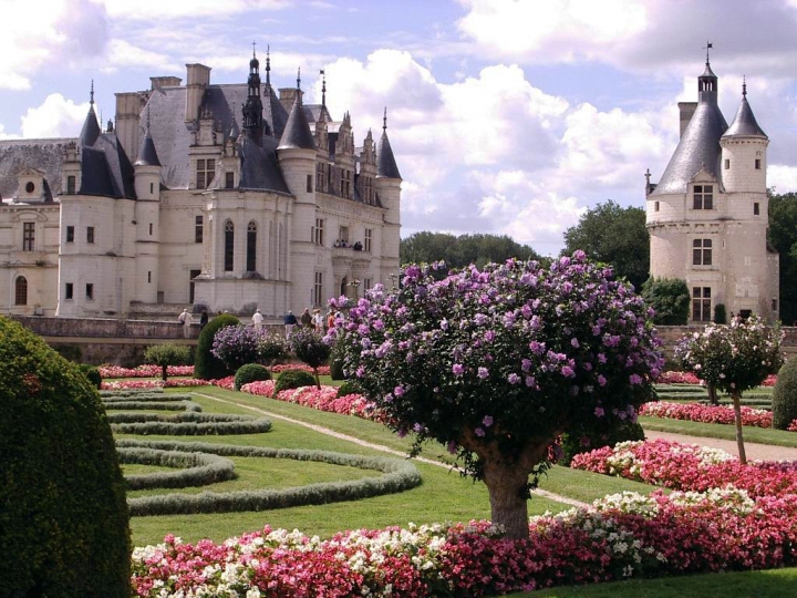 Castello di Chenonceau di scratus