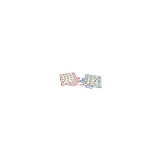 Настольная игра Маршруты двух столиц Звезда за 812 руб.