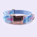 Beautiful dream pet collar