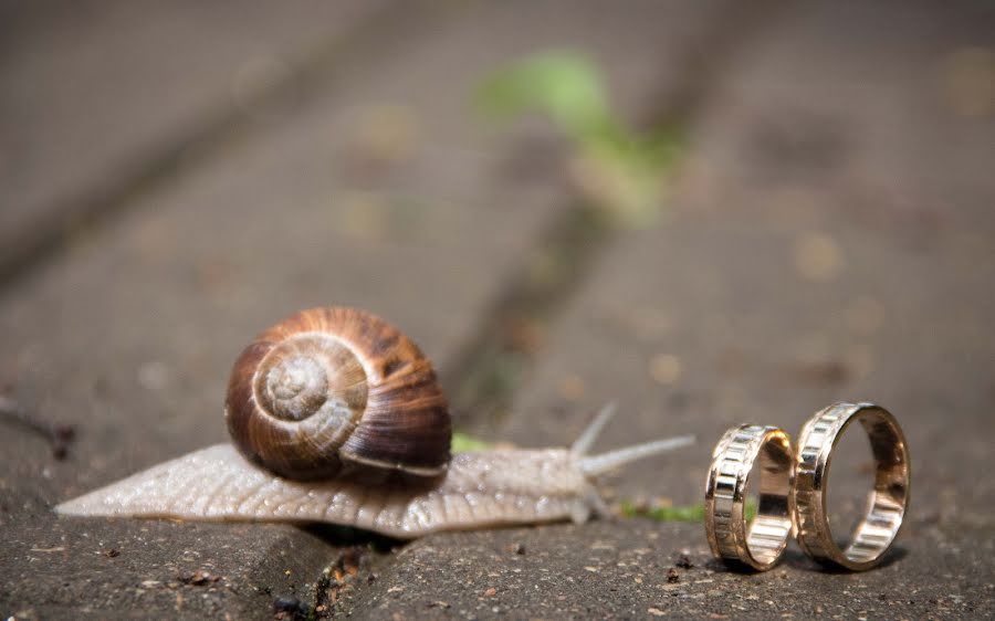 Fotógrafo de casamento Dmitriy Rukovichnikov (drphotography). Foto de 17 de fevereiro 2015