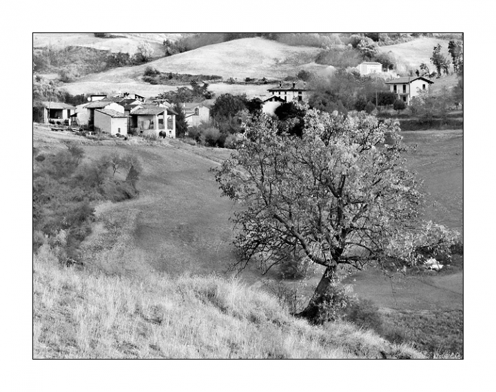 Sentinella di batfabio