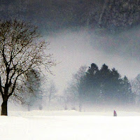 passeggiata sulla neve di 