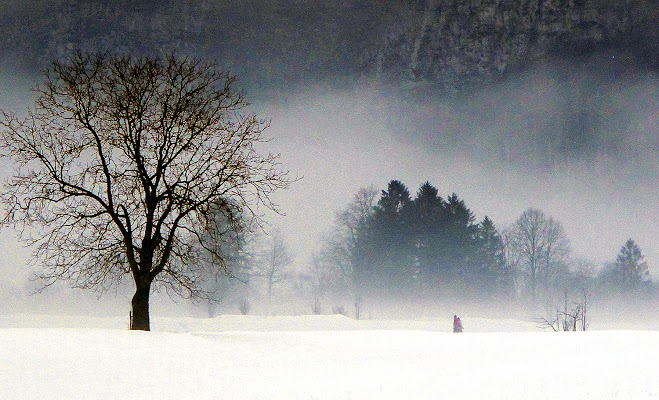 passeggiata sulla neve di cosetta