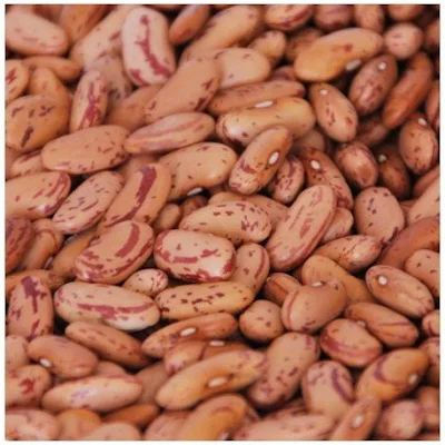 Rajma Chitra - 1.5 kg