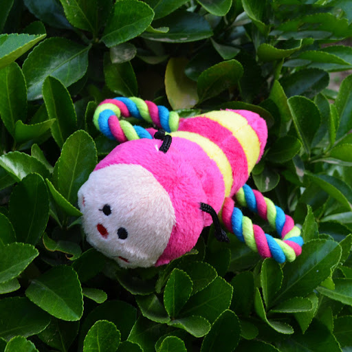 Title 5, Cartoon Plush Ant Pet Dog Sounding Toy, a soft ...