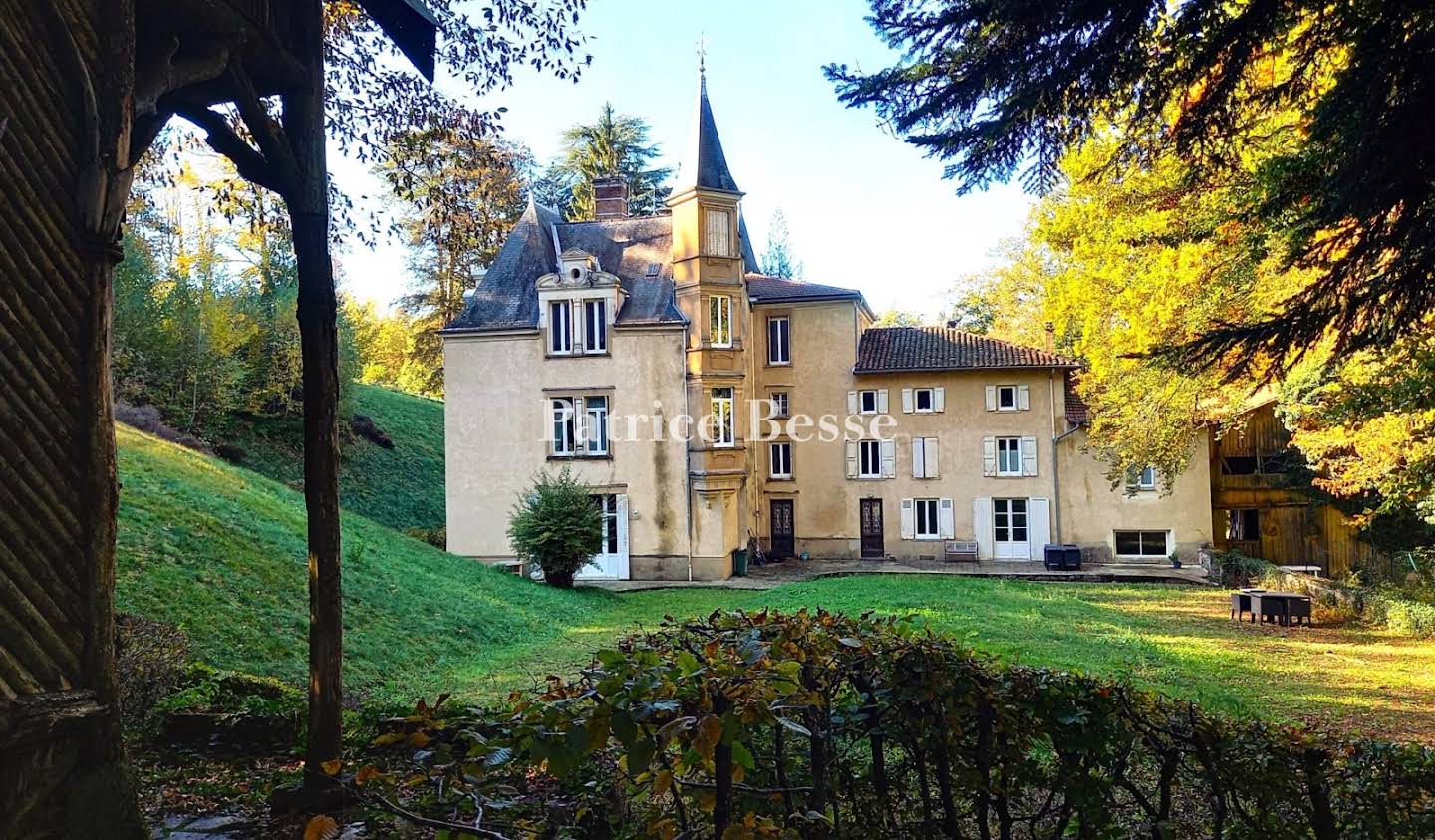 Castle Bourgoin-Jallieu