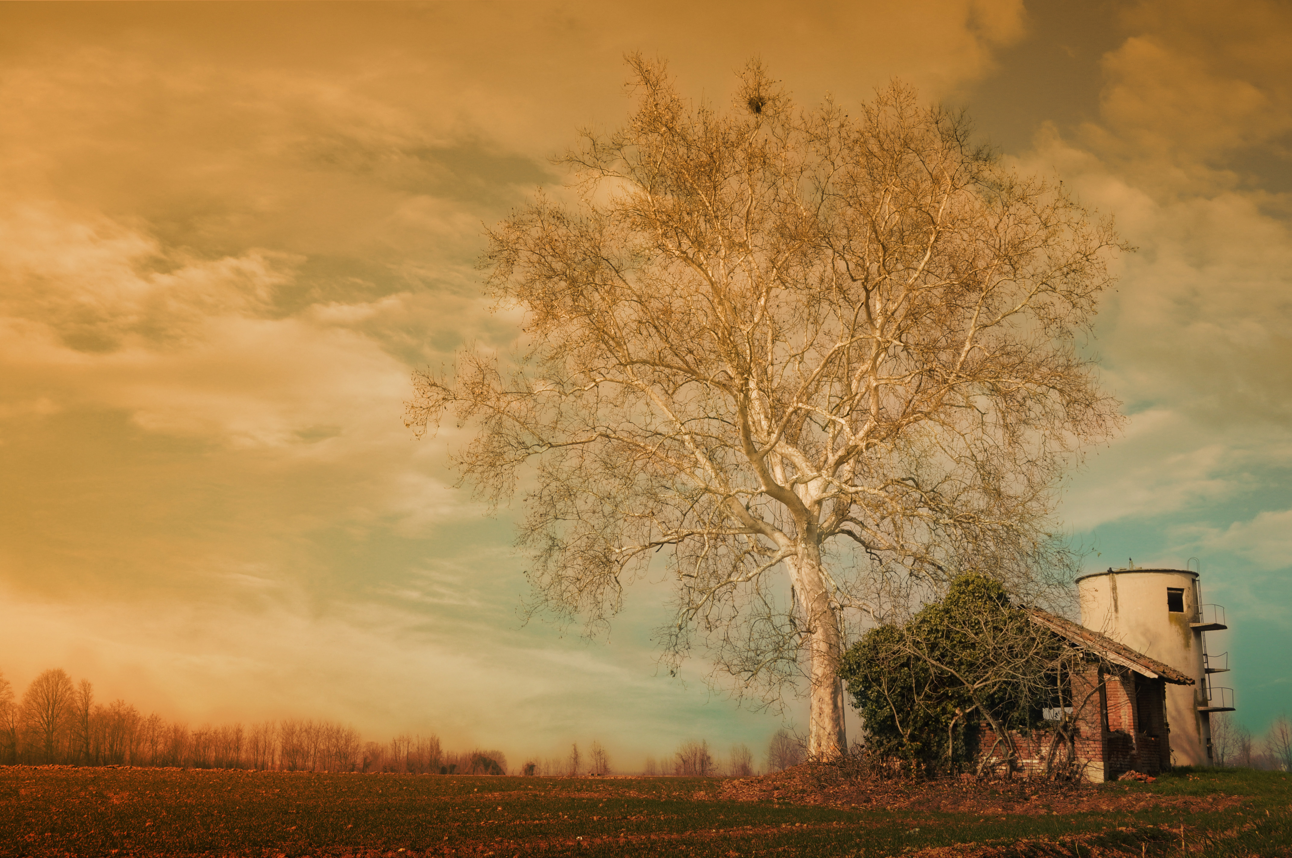 Tramonto campagna Cremonese di alessandro_caminati