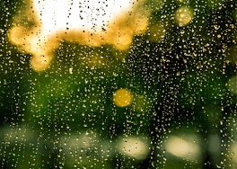 雨の帰り道